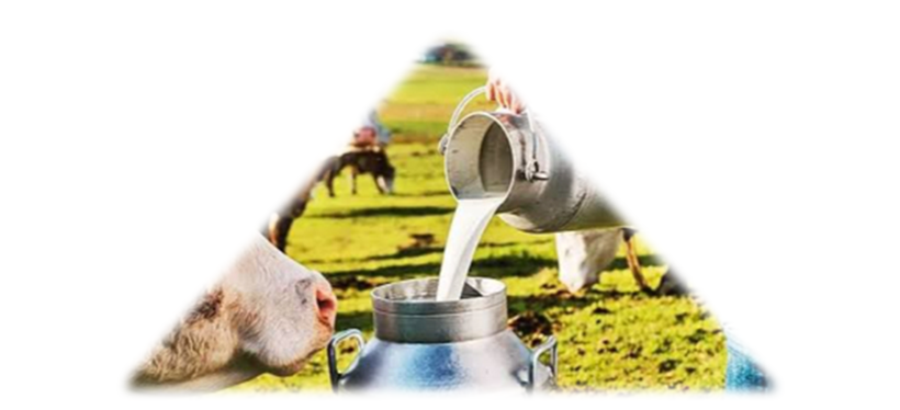 aaa