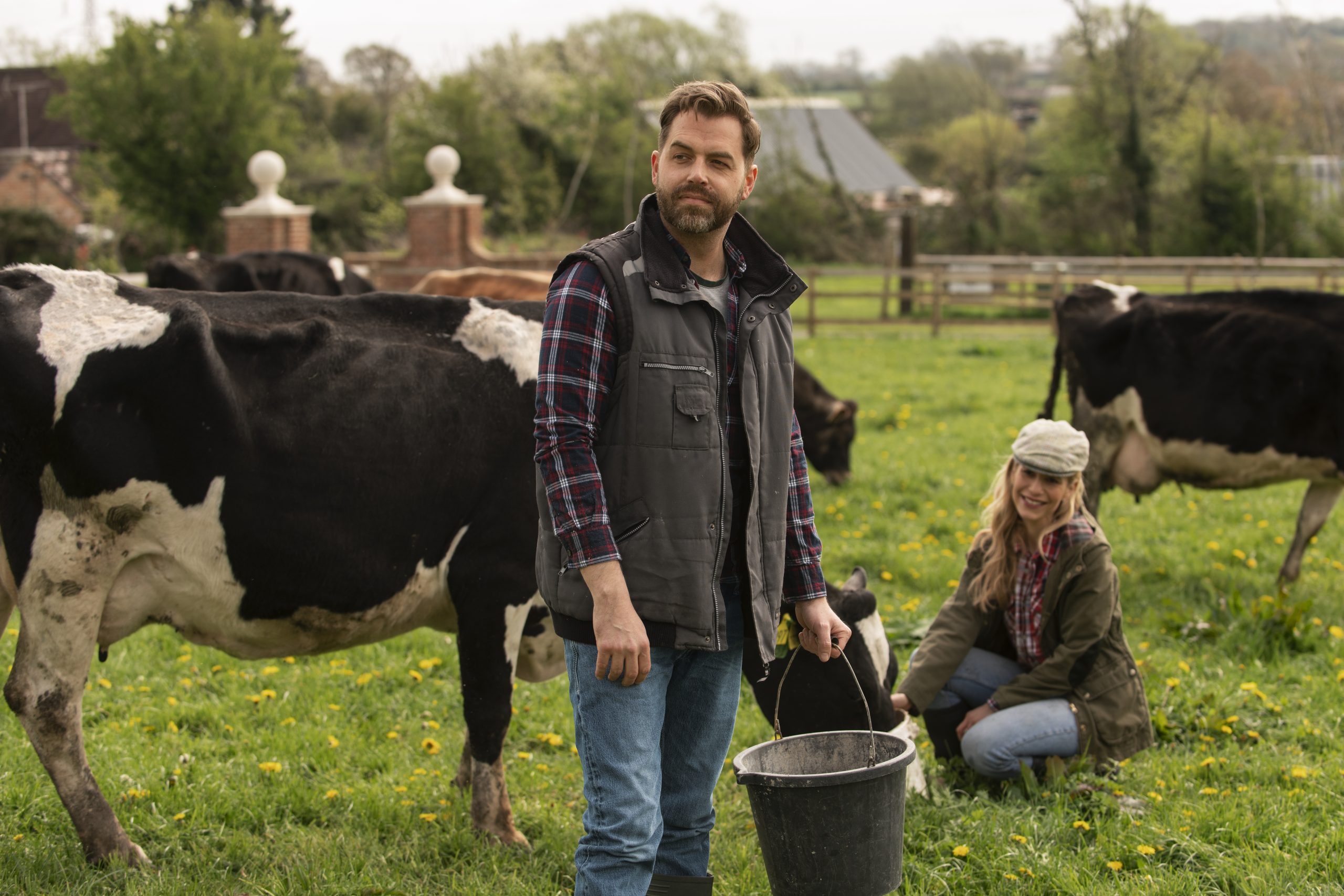 cows-grazing-around-farm